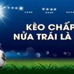 Khám phá ý nghĩa và sức hút của kèo chấp nửa trái tại OK9
